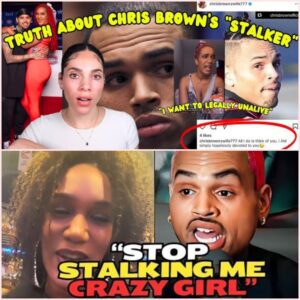 (VIDEO) Chris Brown’s Alleged Stalker Explained