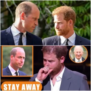 Harry Leaves Lord Fellowes' Funeral IN TEARS After Prince William IGNORES Him: DON'T TALK TO ME