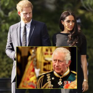 COUNTDOWN MOMENTS: Prince Harry and Meghan Markle are reportedly set to be stripped of their royal titles as the palace goes silent