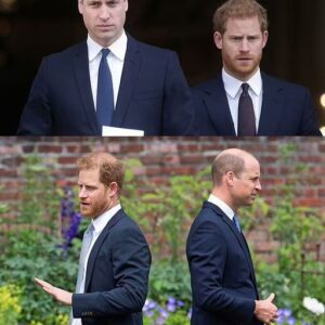 "Prince Harry's Return Hinges on One Condition: Will William’s Apology Bring Him Back to Royal Duties?"