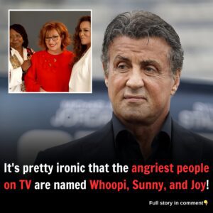 It's pretty ironic that the angriest people on TV are named Whoopi, Sunny, and Joy!