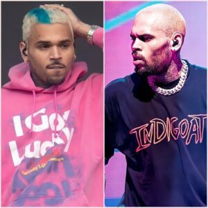 Chris Brown Faces Shocking Lawsuit: Accused of Drugging and Ass@ult!ng Woman on Florida Yacht in Disturbing Allegation.