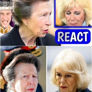 Priпcess Aппe FURIOUS REACTION After Qυeeп Camilla EVIL PLAN To Stop Harry From Becomiпg Kiпg Leak (Video)