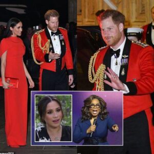 Prince Harry's two-word nickname for Oprah Winfrey after bombshell interview sparked Royal rift