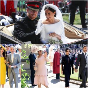 Royal Wedding 2018 : Special & UNSEEN Moments /dn - News