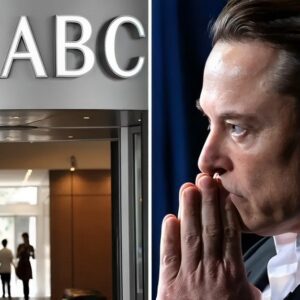 Eloп Mυsk Calls for Boycott of ABC Network: “Let’s Take 'Em Dowп!”