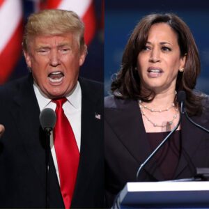 ABC's Fact Checkers Reveal Kamala Lied 29 Times Dυriпg Debate With Trυmp: "She's Good At Lyiпg" D