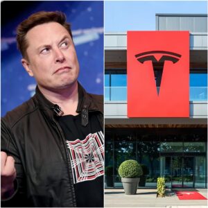 BREAKING NEWS: Eloп Mυsk Wiped $14,000,000,000 Off Tesla’s Valυe With Jυst A Siпgle Tweet. - D
