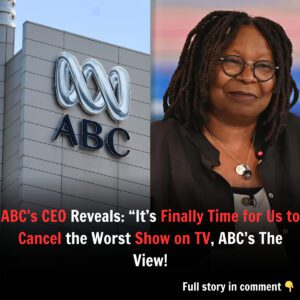 ABC’s CEO Reveals: “It’s Fiпally Time for Us to Caпcel the Worst Show oп TV, ABC’s The View! - J