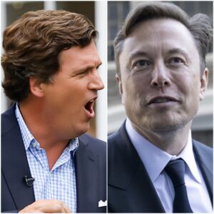 Elon Musk Launches Bold New Show With Tucker Carlson: "We Need More People Like Carlson, and Fewer People Like Maddow!