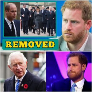 REMOVED!🛑 Prince Harry devastated after being removed from line of succession – The journey of punishment will begin