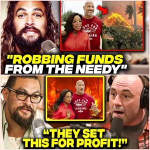 Every Celebrity That's AGAINST Oprah And The Rock's Maui Fires Donations Scheme - J