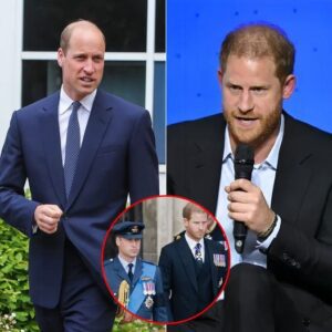 Prince William’s Friend Slams Prince Harry as ‘Very Stupid’ and Like a ‘Broken Record’ After Reported Apology Demand