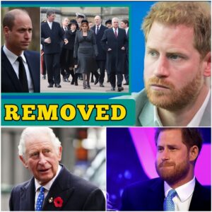 REMOVED!🛑 Prince Harry devastated after being removed from line of succession – The journey of punishment will begin