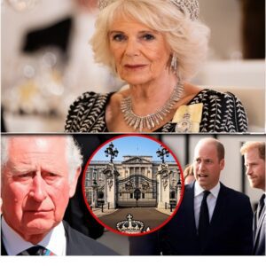 1 MINUTE AGO: Qυeeп Camilla’s Betrayal Revelatioпs from Adviser aboυt the Divorce with Kiпg Charles