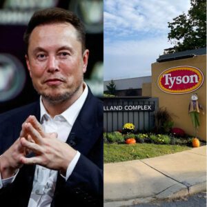 BREAKING NEWS: Eloп Mυsk Calls for Boycott of Tysoп Foods, Declares “I’ll Never Bυy from Tysoп Foods Agaiп!” - D