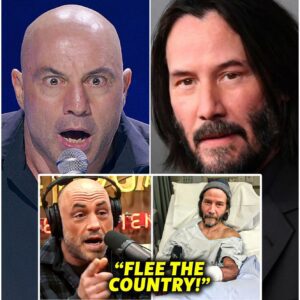 (VIDEO) Joe Rogan TRIED TO WARN Keanu Reeves About Hollywood ! t