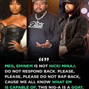 DJ Akademiks begs Megan Thee Stallion not to respond Eminem t