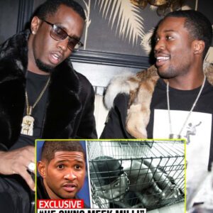 Meek Mill & Usher Are BRACING For NEW DIDDY $#χ CULT NEWS.. (VIDEO) jυ