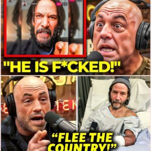 (VIDEO) Joe Rogan TRIED TO WARN Keanu Reeves About Hollywood