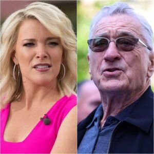 BREAKING NEWS: The reason Megyn Kelly criticized Robert De Niro, calling him 'the ultimate idiot'.