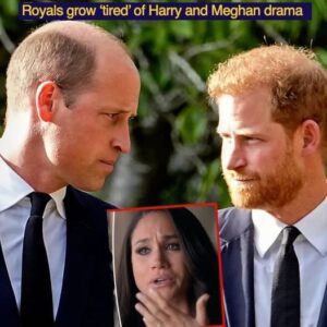 Prince William makes major change as royals grow ‘tired’ of Harry and Meghan drama