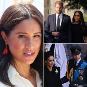 Meghan Markle fears Harry will be “made a fool of” as he attempts to reconcile with William, claims source