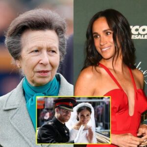 Princess Anne ‘gave’ Meghan Markle: ‘It’s a job, not a means to fame.’