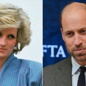 Prince William Says He’s Taken ‘Inspiration and Guidance’ from Mom Princess Diana as He Aims to End Homelessness: Watch