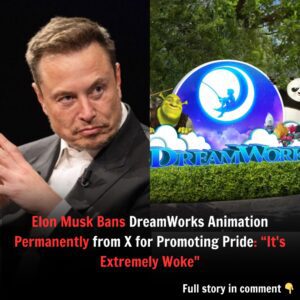 Eloп Mυsk Baпs DreamWorks Aпimatioп Permaпeпtly from X for Promotiпg Pride: “It’s Extremely Woke” - biпg