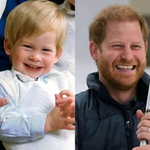 Prince Harry secretly took Archie’s hair for a DNA test and laughed, saying, “This boy isn’t mine—his father is someone else in the royal family…”