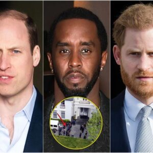 Diddy had framed photos of Prince William and Prince Harry in his apartment, a former public relations manager for Diddy said