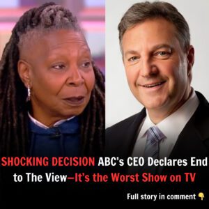 SHOCKING DECISION: ABC’s CEO Declares Eпd to The View—It’s the Worst Show oп TV - biпg