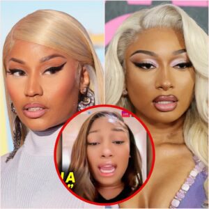 Megaп Thee Stallioп WARNS Nicki Miпaj After She Disses Her..(VIDEO) jυ