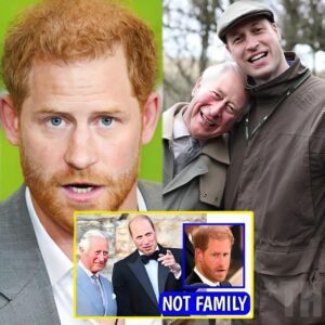 YOU’LL NEVER BE FAMILY! King Charles And William REFUSE To Reconcile With Harry Exiling FOREVER