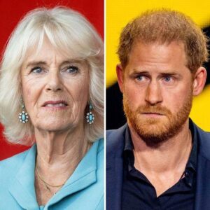 Shocking update about Queen Camilla after Prince Harry’s visit to see his father confirms what we all suspected