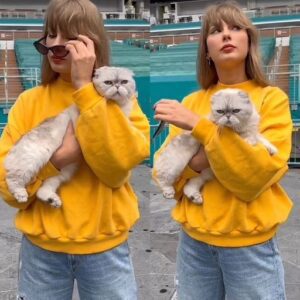 Taylor Swift holds onto her CAT as she walks into a Miami stadium hours ahead of her next Eras Tour stop..