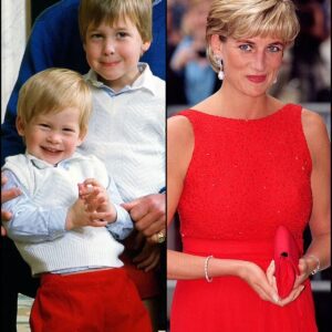 Prince William 'adored' his baby brother Prince Harry and showered him with 'an endless supply of hugs and kisses', letters from Princess Diana to her parents' housekeeper reveal