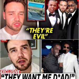 Liam Payne Warned Us About Diddy & Jay Z Before Tragic Death | Shocking Details Surface - HO