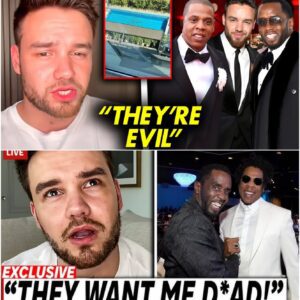 Liam Payne Warned Us About Diddy & Jay Z Before Tragic Death | Shocking Details Surface - HO