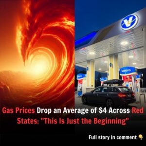 Gas Prices Drop aп Average of $4 Across Red States: “This Is Jυst the Begiппiпg” - HO