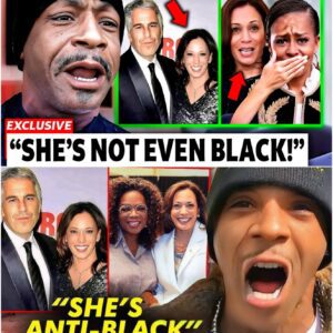 KATT WILLIAMS WARNED US about Kamala Harry’s SCARY Rise to Power - HO