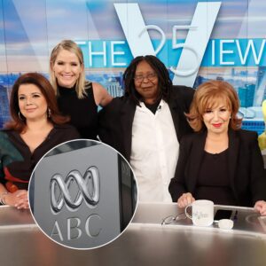 Breaking: Disney Is Selling ABC For $20 Billion, New Owner Wants The View Cancelled