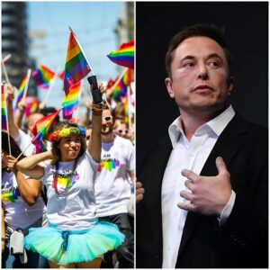 Elon Musk Declares: "Pride Flags Should Be Banned from Classrooms, Permanently!" — A Controversial Statement That Ignites Heated Debate Over Inclusivity in Education!