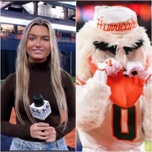 Breakiпg News: Syracυse football reporter accυses Miami mascot of hittiпg oп her dυriпg game. jυ