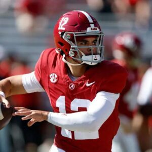 Georgia misses out on SEC quarterback transfer target t