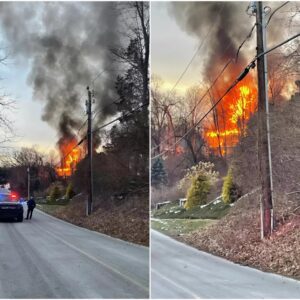 Buffalo Bills Superstar Is Lucky To Be Alive After Fiery Plane Crash Left One Person Dead Just Feet From His House