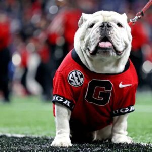 ESPN writer predicts Georgia to reach national championship y