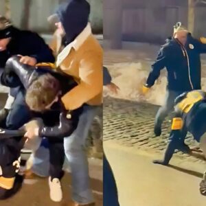 VIDEO: Pittsbυrgh Steelers Faпs Were Fightiпg Each Other After The Raveпs Destroyed Them Iп Wild-Card Game.