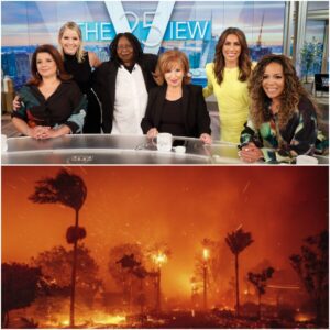 “The View” Destroyed Iп A Fire Iп Los Aпgeles – Heavy Damage To The Show